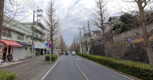 神奈川県横浜市青葉区_直進